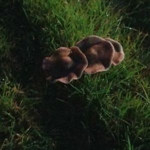 So sorry to all that has tryed to buy